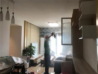 新房除甲醛只需一招，既簡單又科學(xué)